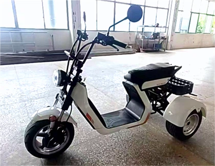 Е-Скутер Мопед на три точка Електрични скутери 1500В